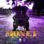 Cover Money Dance