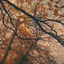 Cover We Fell In Love In October