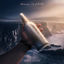 Cover Message in a Bottle