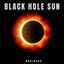 Cover Black Hole Sun