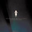 Cover Pale Lights (Dark Dark Horse Remix)
