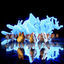 Cover Chicken Dance