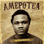 Cover Amepotea