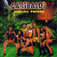 Cover Miami Swing