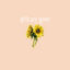 Cover Indian Summer