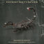 Cover Mare's Nest