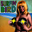 Cover Surfin' Bird (Made Famous by The Trashmen)