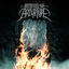 Cover The Physics Of Fire