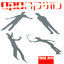 Cover חיות מחמד