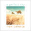Cover A Perfect Sky