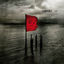 Cover Rot (Deluxe Edition)