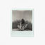 Cover Stay