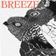 Cover Breeze (Luftzug Version)