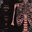 Cover MYLAR
