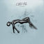 Cover All We Know