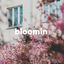 Cover Bloomin'