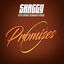 Cover Promises (feat. Romain Virgo)