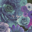 Cover my type