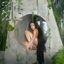 Cover 333