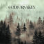 Cover Godforsaken
