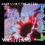 Cover Wasteland