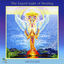 Cover The Liquid Light of Healing