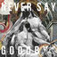 Cover NEVER SAY GOODBYE