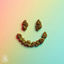 Cover Sativa