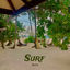 Cover Surf