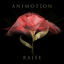 Cover Raise Your Expectations