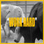 Cover WORK HARD