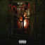 Cover Downfall