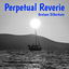 Cover Perpetual Reverie