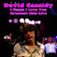 Cover I Think I Love You - Greatest Hits Live