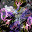 Cover 4ever1
