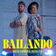 Cover Bailando