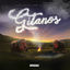 Cover Gitanos Radio Edit