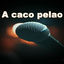 Cover A caco pelao