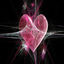 Cover Drog lov