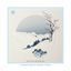 Cover Winter Morning