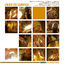 Cover Samba Incrementado
