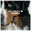Cover Sidefiin