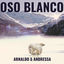 Cover Oso Blanco