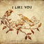 Cover I Like You