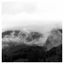 Cover Introspective