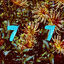 Cover Fleur