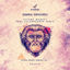 Cover Techno Monkey Remixed, Vol. 1: Paul Kalkbrenner Remix