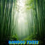 Cover Bamboo Trees