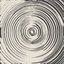 Cover Waves