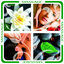 Cover Massage